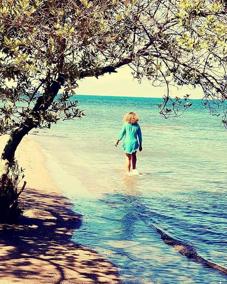 Evasion Beach Hotel Gressier ภายนอก รูปภาพ