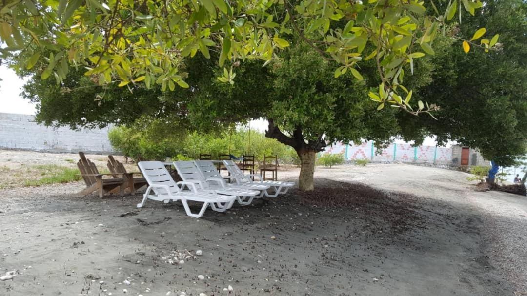 Evasion Beach Hotel Gressier ภายนอก รูปภาพ